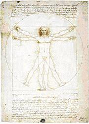 Leonardo da Vinci - The Vetruvian Man, 1490
